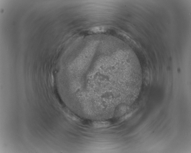 X0000076450707200610271824