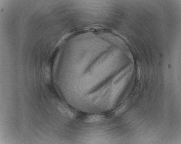 X0000076450708200610271824