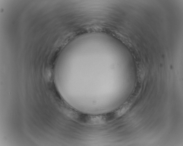 X0000076450709200610271824