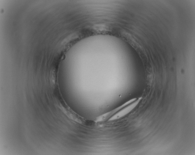 X0000076450710200610271824