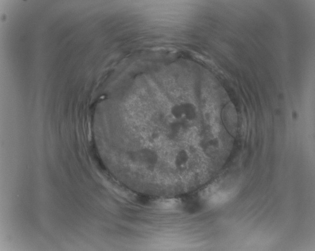 X0000076450711200610271824