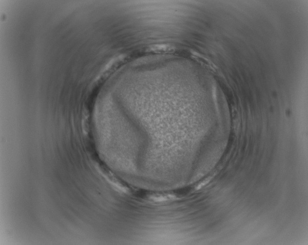 X0000076450712200610271824