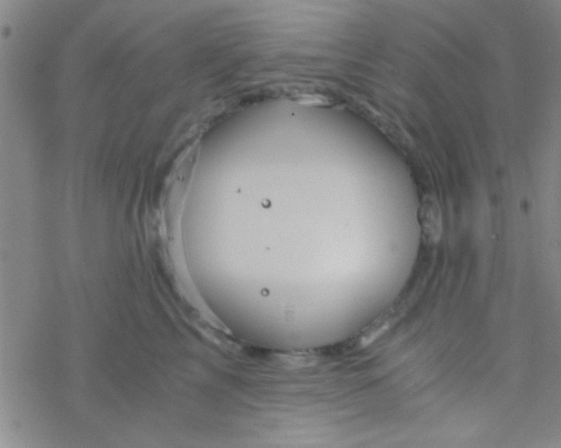 X0000076450713200610271824