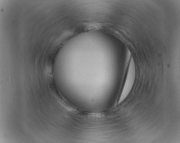 X0000076450714200610271824