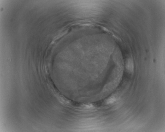 X0000076450715200610271824