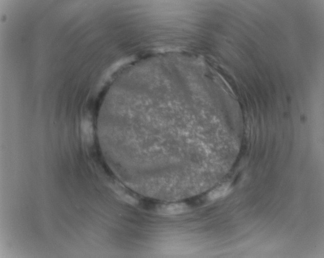 X0000076450716200610271824