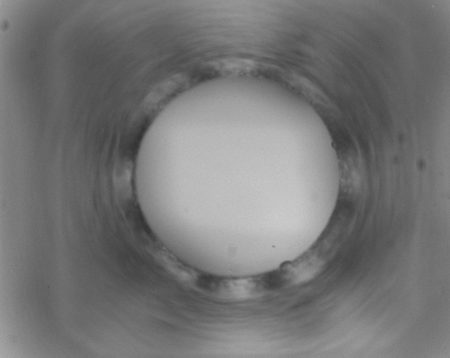 X0000076450717200610271824