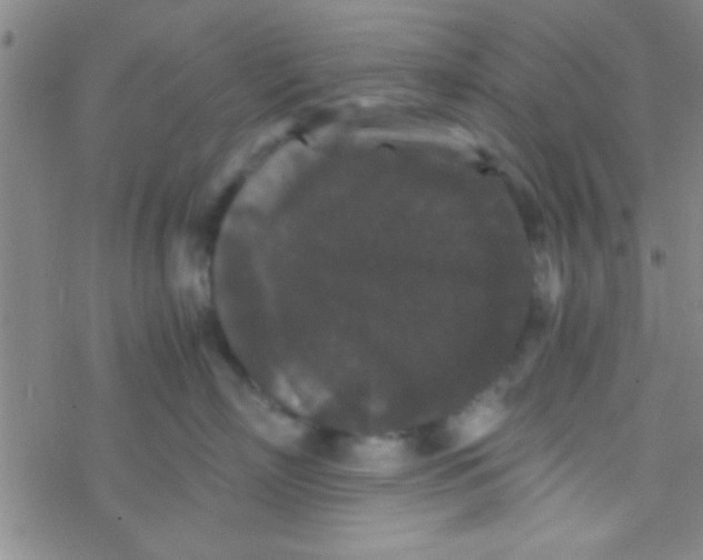 X0000076450718200610271824