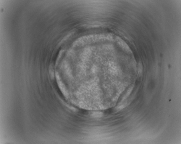 X0000076450719200610271824