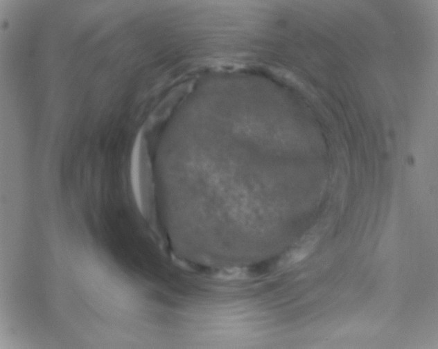 X0000076450720200610271824