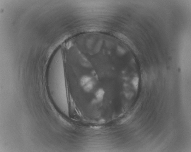 X0000076450721200610271823