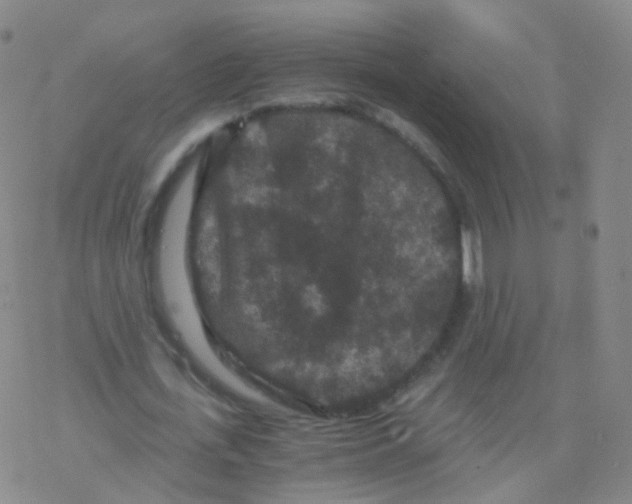 X0000076450723200610271823