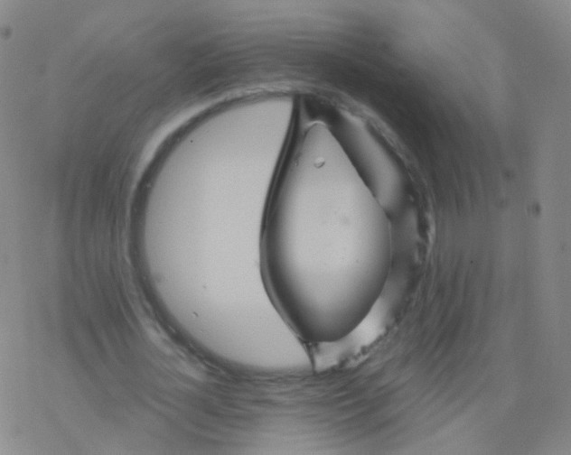 X0000076450724200610271823