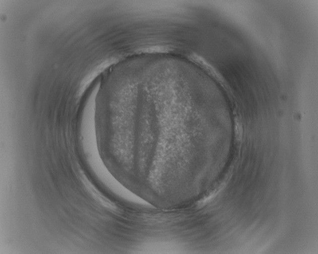 X0000076450725200610271823