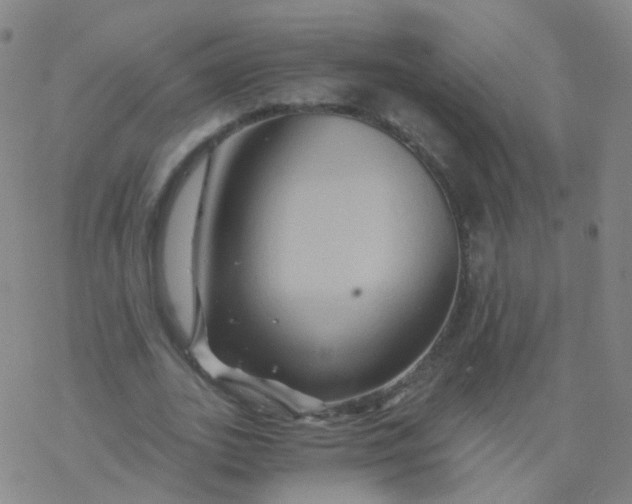 X0000076450727200610271823