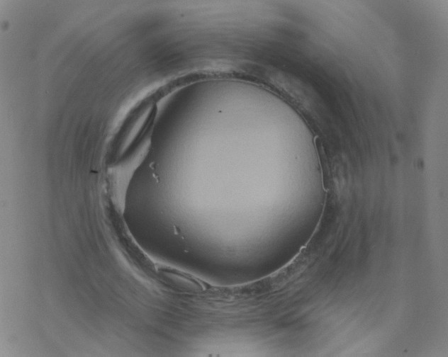 X0000076450728200610271823