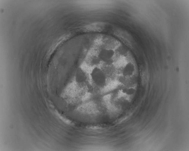 X0000076450729200610271823