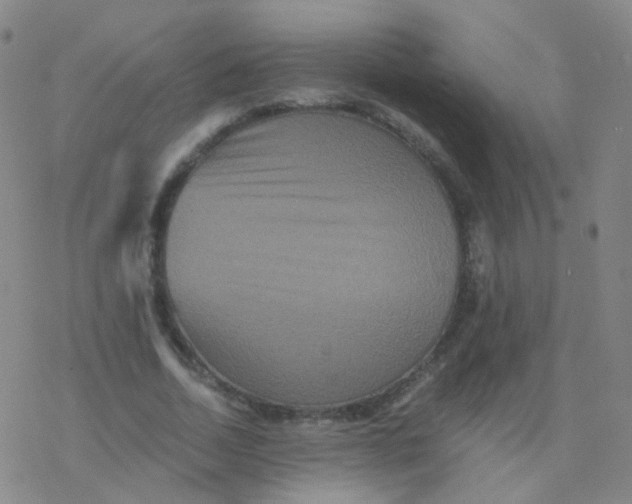 X0000076450730200610271823