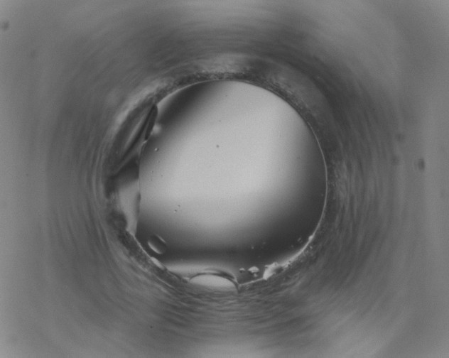 X0000076450731200610271823