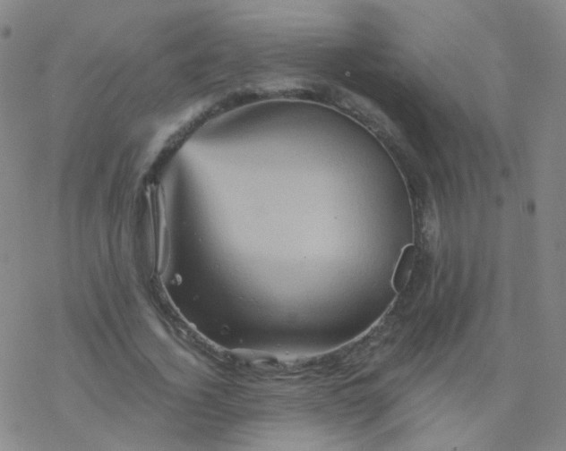 X0000076450732200610271823