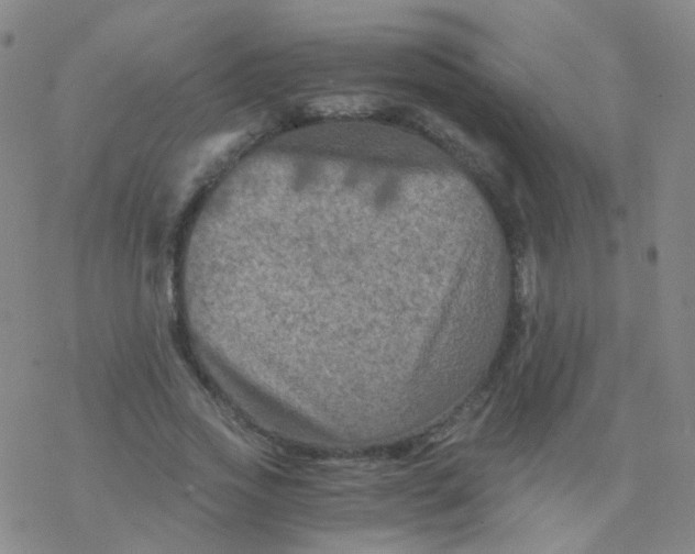 X0000076450733200610271823