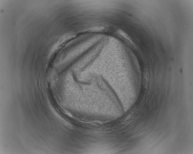 X0000076450734200610271823