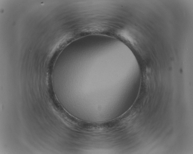 X0000076450735200610271823