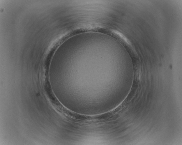 X0000076450736200610271823