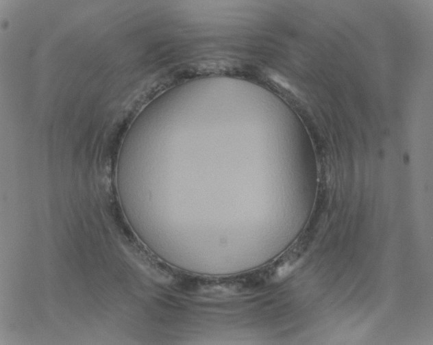 X0000076450737200610271823