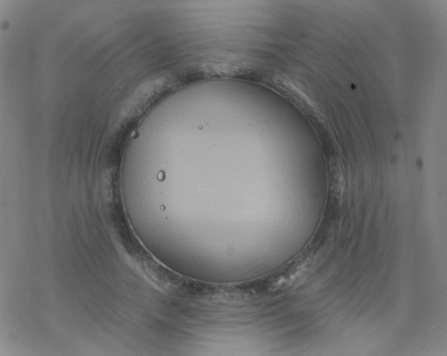 X0000076450738200610271823