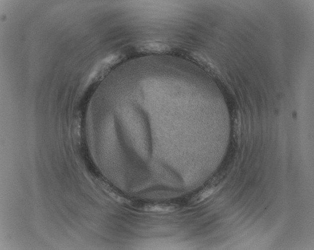 X0000076450739200610271823