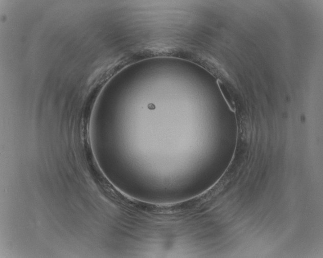 X0000076450740200610271823