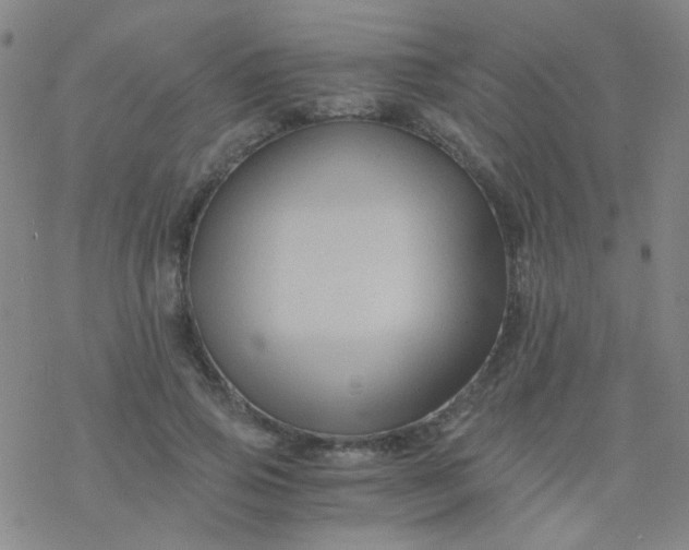 X0000076450741200610271823