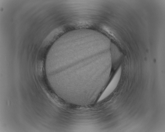 X0000076450742200610271823