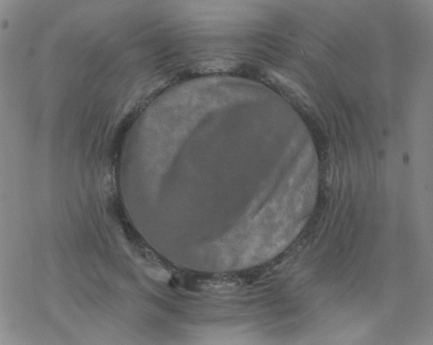 X0000076450743200610271823