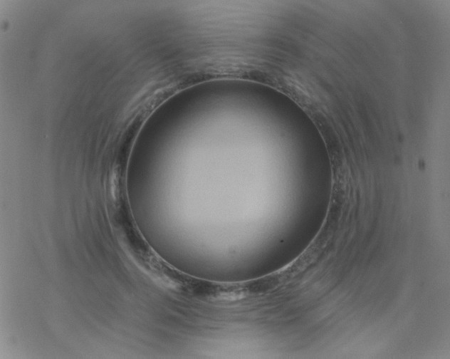 X0000076450744200610271823