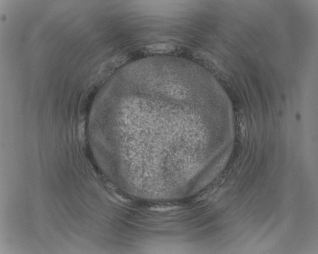 X0000076450745200610271823