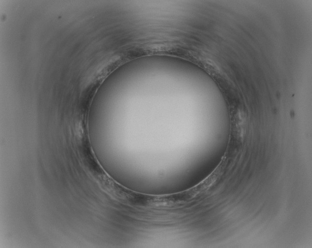 X0000076450746200610271823