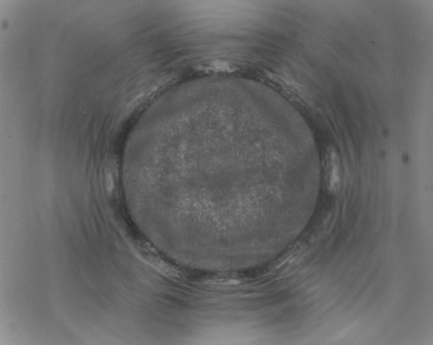 X0000076450747200610271823