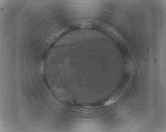 X0000076450748200610271823