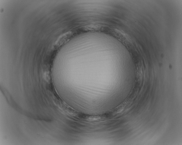 X0000076450749200610271823