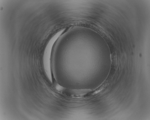 X0000076450750200610271823