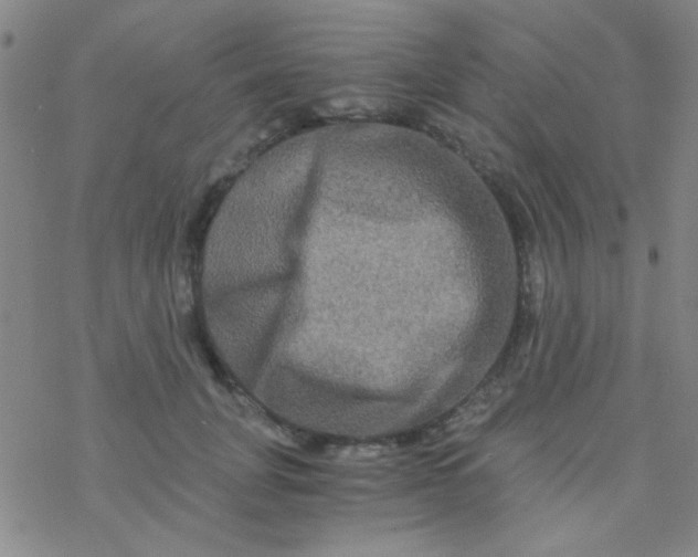 X0000076450751200610271823