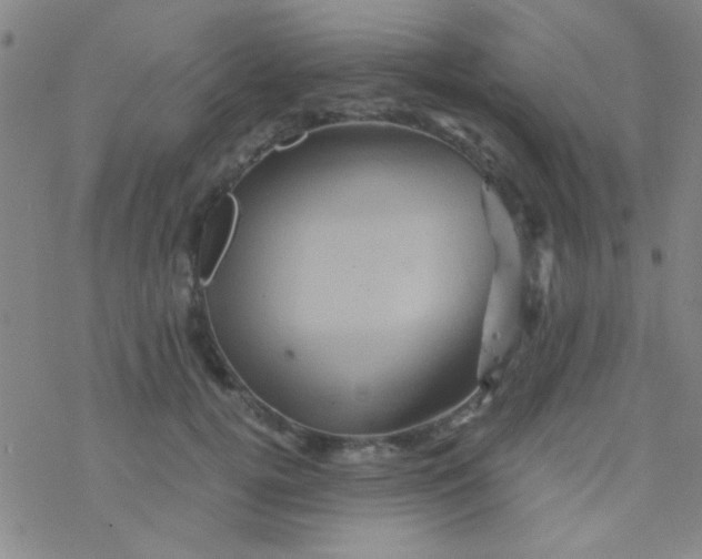 X0000076450752200610271823