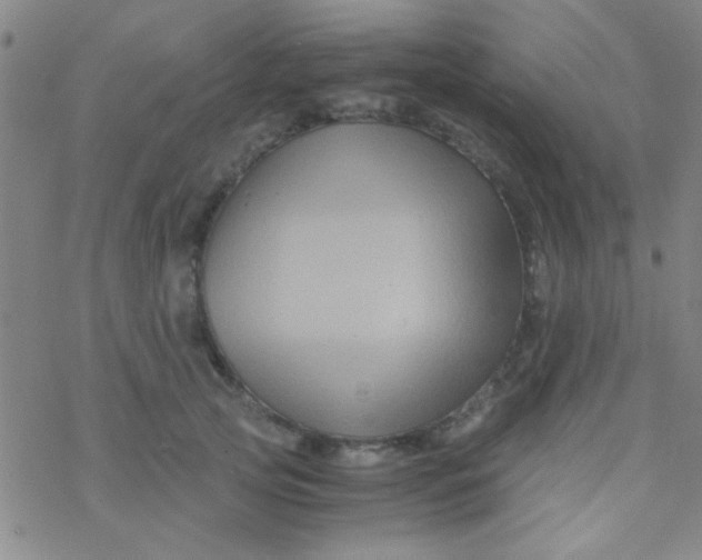 X0000076450753200610271824