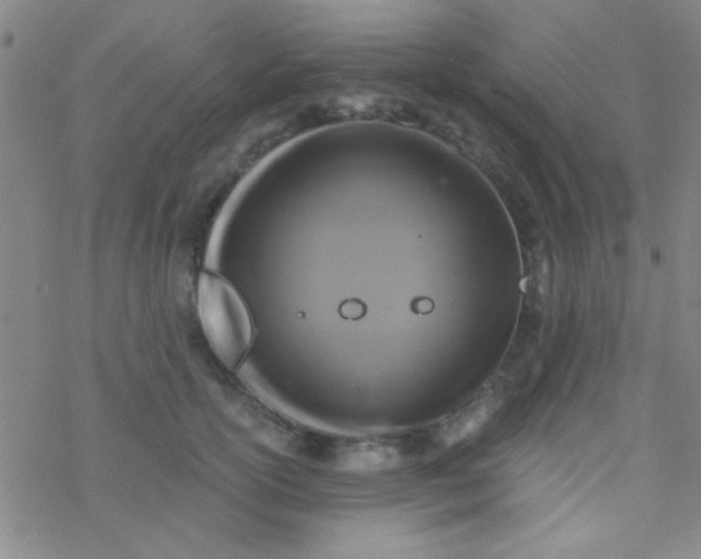 X0000076450754200610271824