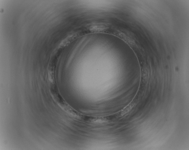 X0000076450755200610271824