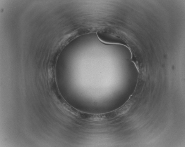 X0000076450756200610271824