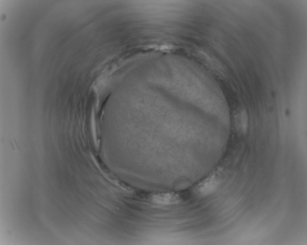 X0000076450757200610271824