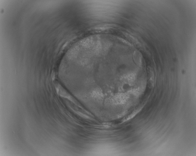 X0000076450758200610271824